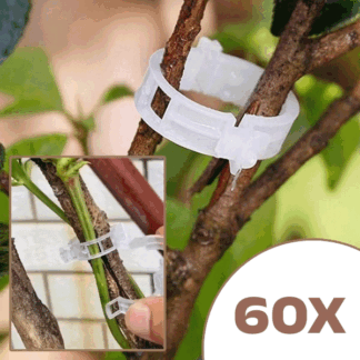 60x Növénytámaszték - GreenGrow